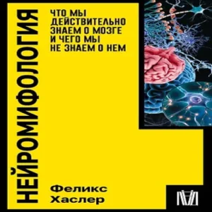 C7NHrZUDIHn60ByDSBfxpqLaeHkfC8hA500_500-1