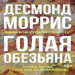 J2ZSMJRPgOGdDyi2X8qntsbbrde8MIv0500_500-1