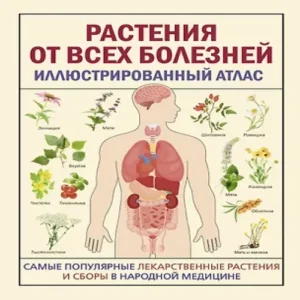 chp2hNuxCPizRAdFX75gOaaxySIKazV3500_500-1