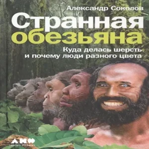 ogwgLybelfHbpT7YMupZ2t9FJbtbgjPq500_500-1