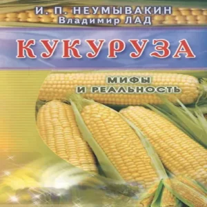 ZbnPAnFEGyKzPo4kZBI6y2gSrPyiuFlR500_500-1